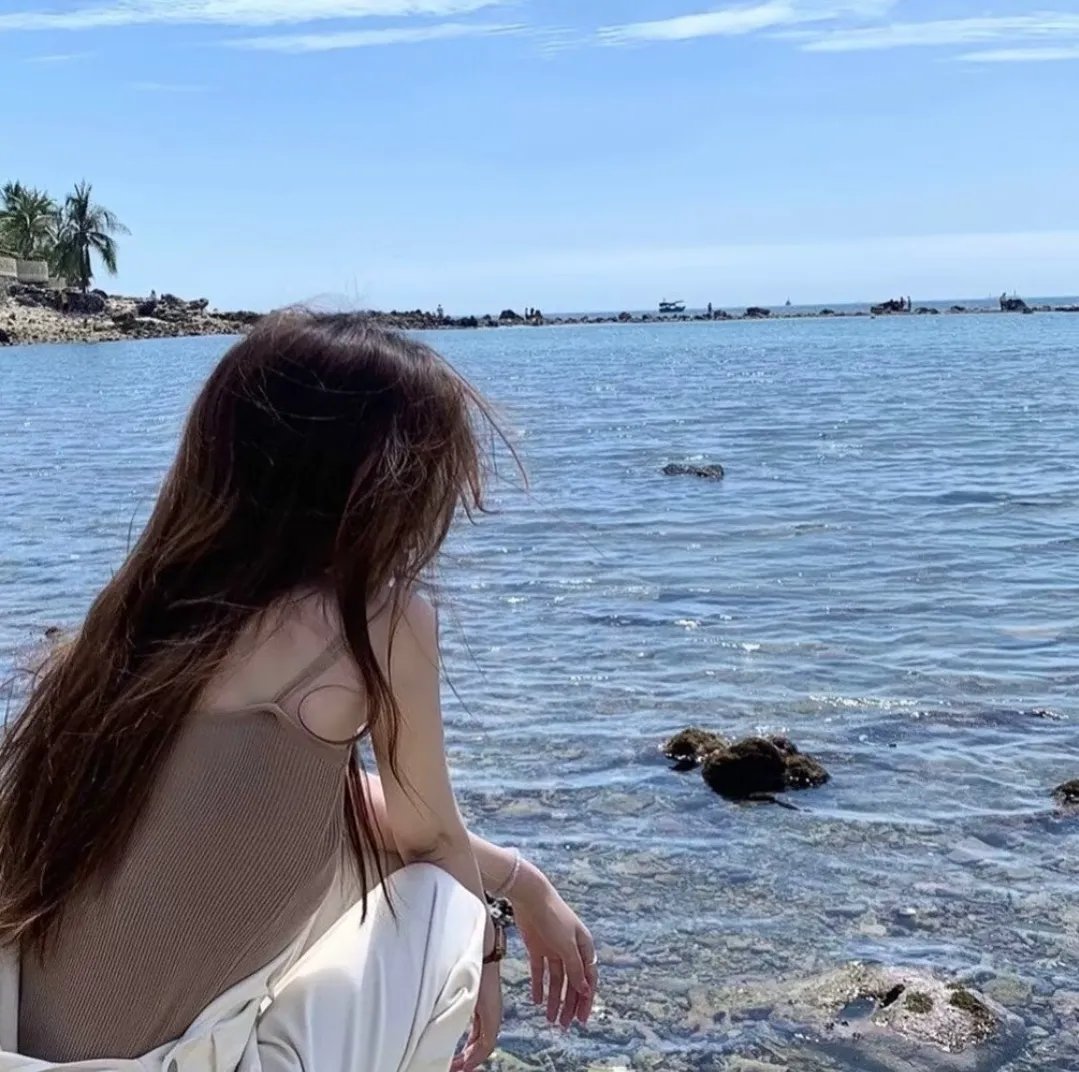 红尾鸽