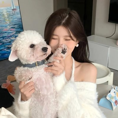 青春环游记第四季