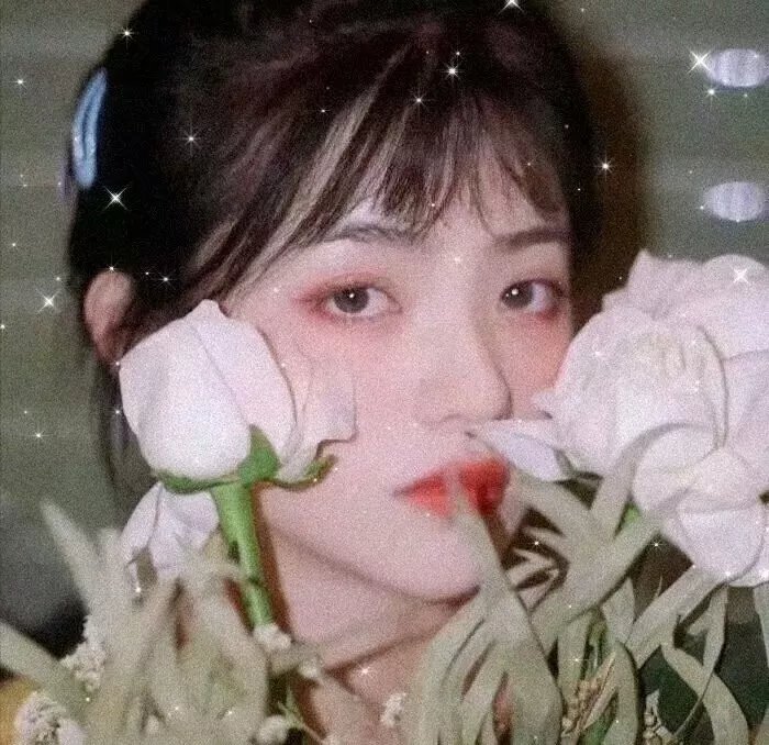 西野的恋爱与冒险